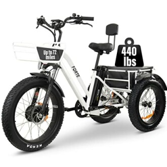MALISA Electric Trike Review: 3 Wheel Motorized Bicycle for Adults