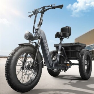 PUCKIPUPPY Electric Tricycle Review: 750W Motor, 450 LB Load Capacity