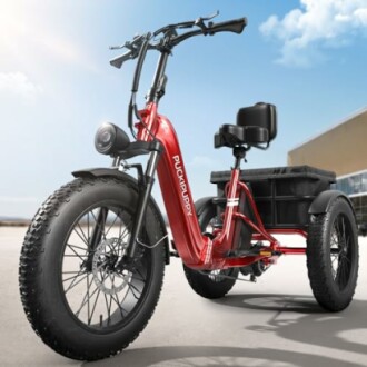 Electric Trike for Adult Review: 750W Motor, 48V Battery, 450 LB Load Capacity